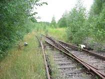 Vollkommen zugewachsen ist die DKW im Bahnhof Altendorf, Chemnitz 10.07.07