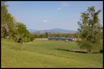 Leider ohne Kuhli Muhli´s auf der Weide vom Koberl in Freidorf bei St. Peter im Sulmtal. 
26.04.2020 