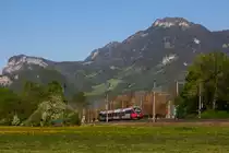 4024-056-6 vor der Bergkulisse Vorarlbergs, Altach. 23.4.20