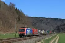 Re 482 024-7 mit dem DGS 44695 (Köln Eifeltor-Schaffhausen PB) in Grünholz 6.4.20