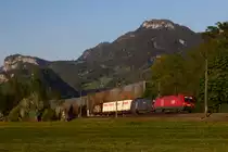 1116 050-6 und Werbelok  Cobra  182-7 hinter Altach. 23.4.20