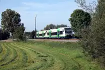 Herbst auf der Elztalbahn 2014 (auch schon historisch, da die Strecke wg. Elektrifizierungsarbeiten gesperrt ist)

BSB 88418 mit VT 018 und 013 kurz hinter Denzlingen an der Elzbrücke (28.09.2014)