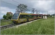 Obwohl die MOB Be 4/4 (Serie 5000) anfangs im  Vorortsverkehr  von Montreux im Einsatz standen, werden die vier Züge nach ihrem Umbau zu ABt - Be 4/4 - Bt vorwiegend auf der Strecke in die Lenk eingesetzt, ein Umstand, der den Züge den Namen  Lenkerpendel  eingebracht hat.

Neuerdings, und wohl nur vorübergehend kommen meist am Wochenende, aber auch hin und wieder Werkstags die  Lenkpendel  in Umläufen bis nach Montreux. Grund genug, den 2224 auf der Fahrt von Montreux nach Zweisimmen bei der Durchfahrt Châtelard VD fotografisch festzuhalten.
Der Zug versteht aus dem Bt 244, dem Be 4/4 5004 und dem Schlusswagen ABt 344. 

6. Mai 2020