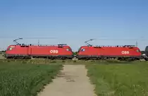 Seitenansicht der ÖBB-1116 151-2 und 162-9 vor ihrem Kesselwagenzug (Neuss-Elvekum 06.05.2020)