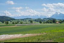 SBB RABe 503 als EC Brig - Basel am 10. Mai 2020 bei Thurnen. Der Zug wurde aufgrund eines Personenunfalls in Gümligen via Gürbetal umgeleitet.
