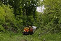 Ziemlich begrünt präsentieren sich die Gleisanlagen der Angertalbahn kurz vor dem Bahnhof Flandersbach, hier mit der ThyssenKrupp-Lok 547 am 13.05.2020