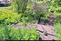 Spurensuche unweit der Haustür:
Die ehemalige Zementfabrik in Halle-Nietleben besaß einen Eisenbahnanschluss über die nun stillgelegte Bahnstrecke Halle Klaustor–Hettstedt (Halle-Hettstedter Eisenbahn (HHE) | 6800), ausgehend vom Bahnhof Halle-Nietleben. Dieser diente v.a. dem Transport von Braunkohle aus der Grube Neuglück (heutiger Heidesee), um den Betrieb der Zementfabrik zu gewährleisten.
Mit der Einstellung der Zementproduktion im Jahr 1973 verlor auch die Anschlussbahn ihre Bedeutung. Einzelne Gleisabschnitte bzw. Relikte sind heute noch vorhanden.

Nahe der Berghalde gibt es einen Trampelpfad über die Schienen, um schneller zum Heidesee zu gelangen.
Der weitere Verlauf der Trasse bis zum Bahnhof Nietleben ist ab hier schwer nachzuverfolgen, da das Gleis abgetragen bzw. überbaut wurde. Daher ist es mein letztes Foto dieser kleinen Serie.
[7.5.2020 | 12:55 Uhr]

Weitere Informationen zum Zementwerk:
http://www.nietlebener-heimatverein.de/pool/20110313_sn_Zement_kam_einst_aus_Nietleben.pdf