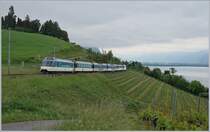 Der  neue  MOB GoldenPass Panoramic PE 2228 kurz von Planchamp. Die MOB Ge 4/4 8004 schiebt den Zug von Montreux nach Zweisimmen. Der Zug ist wie folgt zusammengesetzt: Ast 151, As 112, Bs 236, Bs 237 BD 205 und die bereits erwähnte Ge 4/4 8004. 

14. Mai 2020