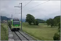 Der TPC (ASD AOMC) Beh 2/6 541 ist kurz nach der Haltestelle von St-Triphon Village als Regionalzug 143 von Monthey Ville nach Aigle unterwegs. 

14. Mai 2020