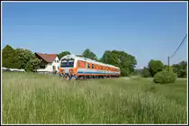 Noch wachsen teilweise die Wiesen in die Höhe ,... 

Hier bei Preding verschluckt den ungarischen FMK008 das frische Gras beinahe.
18.05.2020