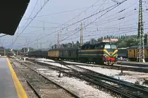 Den längsten Laufweg hat der  Rias Altas Expreso . Er ist um 21.15 in La Coruna gestartet und erreicht Madrid Principe Pio nach 752 km Fahrt um 9.38. Eigenartiger Weise wird er auch im elektrifizierten Abschnitt zwischen Medina del Campo und Madrid mit Diesel geführt, hier mit Lok 333 043. Ich bin selbst zweimal mit dem Zug gereist. Der Sound, den der 645  Prime Mover  von GM-EMD lieferte, war beeindruckend. Dennoch schaffte die Lok in den Steigungen der Sierra Guadarrama kaum mehr als 30 ~ 40 km/h. Die 12 Waggons mußten eben auch geheizt werden. Oktober 1983. 
Canon AE1, Canoscan, GIMP