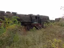 EFSFT 52 8137 am 28.09.2019 beim Herbstfest im TBw Staßfurt.