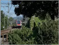 Ziemlich bekannt, was sich links dieses Bildes befindet: Das Schloss Chillon. Im Bild und mein Motiv: der SBB RABe 511 112 von Annemasse nach St-Maurice der sich auf der vegetationsreichen Rückseite des Château de Chillion in Richtung St-Maurice schlängelt. 

21. Mai. 2020