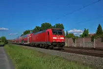 DB Regio 146 271 mit Überführung am 21.05.20 in Rodenbach (Main Kinzig Kreis) 