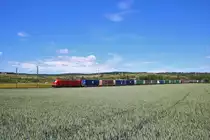 DB Cargo Siemens Vectron 193 xxx mit KLV Zug am 30.05.20 in Niederwalluf