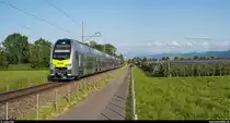 Der erste sechsteilige BLS MUTZ, RABe 515 038, am 29. Mai 2020 auf Überfuhr zwischen Arbon Seemoosriet und Egnach.