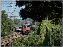 Die SBB Re 6/6 11685 (Re 620 085-1)  Sulgen  schlängelt sich mit ihrem Güterzug auf der Fahrt in Richtung Wallis hinter dem Château de Chillon durch. 

20. Mai 2020