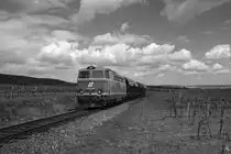 Die 2143.070 mit einem Schotterzug in den Retzer Weinbergen auf der Fahrt nach Drosendorf. (03.05.2020)