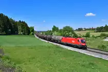 1116 198 mit DGS 44941 am 19.05.2020 bei Sinngrün.