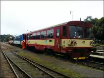 CD 810 217-0 in Zruč nad Sázavou am 25.6.2018
