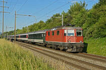 Re 4/4 II 11124 fährt Richtung Bahnhof Kaiseraugst. Die Aufnahme stammt vom 12.06.2020.