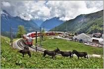 R1652 mit ABe 8/12 3501 erreicht Alp Grüm 2103m. 1150 Höhenmeter weiter unten leuchtet der Lago di Poschiavo. (09.06.2020)
