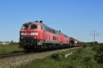 Trotz der Mietloks sind die roten 218 auf der Marschbahn in der Überzahl. Am 15.06.2020 sind 218 366-3 und eine weitere 218 bei Morsum auf dem Weg nach Westerland.