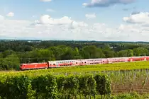 Die 146er mit dem RB Basel - Freibug oberhalb der Rheinebene hat gleich ihren nächsten Haltepunkt Bad Bellingen erreicht. 03.07.2020