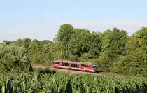 Unbekannter 642 als RE Crailsheim-Heilbronn am 01.07.2020 bei Neuenstein-Untereppach in der grünen Hölle zwischen Maisfeld und Bäumen. 