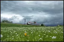 Gewitter waren in der letzten Woche öffters zu finden . 
Am 29.06.2020 war´s ein ganz Gewaltiges. 
Beim Abziehen blinzelte kurz die Sonne durch die aber leider gleich wieder Weg war. 
Frauental an diesem Gewitter Montag.