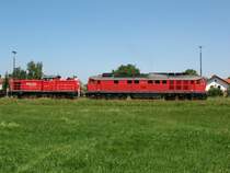 Ein Profilvergleich einer 233 und 294 in T��ling am 20.7.07