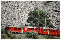 ABe 4/4 II 51  Poschiavo  und ein ABe 4/4 I umkurvt einen Edelkastanienbaum unterhalb der Ger�llhalden bei Brusio. (Archiv 09/91)