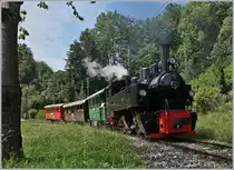 Die Blonay-Chamby Bahn G 2x 2/2 105 fährt mit ihrem Dampfzug zurück nach Chaulin und konnte unter einem schattigen Baum stehend, von mir in Blonay fotografiert werden. 

26. Juli 2020