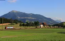 193 469-4 mit dem 43076 (Gallarate-Rheinhausen) bei Buonas 23.6.20