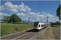 Der Gegenzug, der SBB RABE 523 015 diente als Sujet, um auch eines der hier recht oft anzutreffenden Sonnenblumenfelder mit ins Bild zu bringen. 

25. Juli 2020