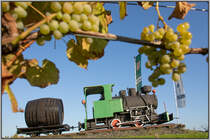 Zumeist  Schmücken  Komische Kunstobjekte die Wohl sehr viel Geld Kosten die Kreisverkehr Inseln bei uns zulande ,.... 

Aber Naja , jedem das seine..... 

In Stainz ist es schon seit vielen Jahren eine kleine Dampflok die  Werbung  für den Flascherlzug macht und mit den Weintrauben ein gelungenes Bild für die Region abgibt. 
Das Fass kann ich zwar auch nicht ganz nachvollziehen aber Immerhin hängt was dran . 

5.09.2020