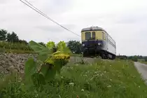 OSEK 5042.14 als SLP 14813 (Obersdorf - Groß Schweinbarth) am 06.September 2020 zwischen Auersthal und Raggendorf Markt.