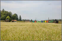 In der Haltestelle Neudorf im Stainztal gibt es nur selten Halt für den Flascherlzug. 
Hier rollt er an diesem Winterbegrünten Feld vorbei nach Kraubath. 
19.09.2020