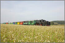 Der Flascherlzug am 19.September 2020 bei Neudorf im Stainztal. 
