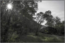 Durch den Wald mit dem Flascherlzug. 
19.09.2020