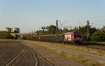 482 047 IGE(Jim Knopf)mit Zuckerüben in Richtung Süden.(Waghäusel-Wiesental 19.9.2020).