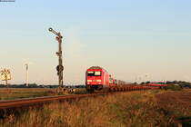 245 027 mit dem AS 1407 (Westerland(Sylt)-Niebüll) bei Lehnshallig 1.9.20