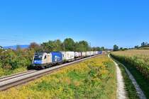 1216 954 mit DGS 42958 am 20.09.2020 bei Langenisarhofen.