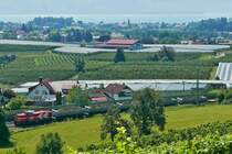 Von der Baustelle in Bodolz kommend befindet sich DE81 der RheinCargo (98 80 0272 019-7 D-RHC) mit den beladenen Sch�ttgutkippwagen kurz vor der Entladestelle bei Oberreitnau. Aufnahme vom 12.08.2020 in der N�he des Lindauer Ortsteils Sch�nau.