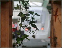 Der Bahnhof soll grüner werden - 

Pflanztröge am Geländer am Endes der Gleise. 

Stuttgart Hbf, 24.09.2020
