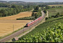 425 806-7 und 426 016-2 unterwegs bei Nordheim (Württemberg).

🧰 DB Regio Baden-Württemberg/DB Regio NRW für Abellio Rail Baden-Württemberg GmbH (Ersatzzug)
🚝 RB 19320 (RB18) Tübingen Hbf–Osterburken
🚩 Bahnstrecke Stuttgart–Würzburg (Frankenbahn | KBS 780)
🕓 31.7.2020 | 15:22 Uhr