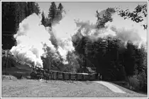 Deutsches Reichsbahnflair auf der Ybbstalbahn. Die Sächsische IV K 99 568 der Preßnitztalbahn als Vorspann vor U1 mit dem ersten Zug von Kienberg nach Lunz am See am 27.9.2020 kurz vor Pfaffenschlag.