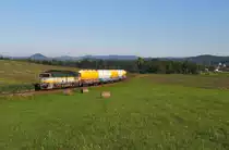 Die grün gelbe CD Blitzbrille 753 301 mit Zwiebelwagenzug als Mn 86121 von Decin nach Brniste hat vor wenigen Augenblicken nach einen Kreuzungshalt den Bahnhof Zaklupy verlassen. Aufgenommen am 05.08.2020