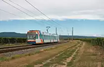 RNV GT6N Wagen 5620 am 29.08.20 bei Bad Dürkheim in dem Weinfeldern