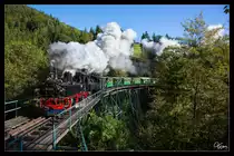 Die 99 568 Sächsische IV K (BJ 1910 Hartmann) und die U1 (Bj 1898 Krauss-Linz) ziehen auf der Ybbstalbahn Bergstrecke, welche bis zu 35 Promille Steigung aufweist, einen besonderen Zug von Kienberg-Gaming nach Lunz am See, hier zu sehen bei der Überfahrt über eine der beiden Trestlework-Brücken der sogenannten Hühnernestbrücke. 
Haltestelle Hühnernest 27.09.2020